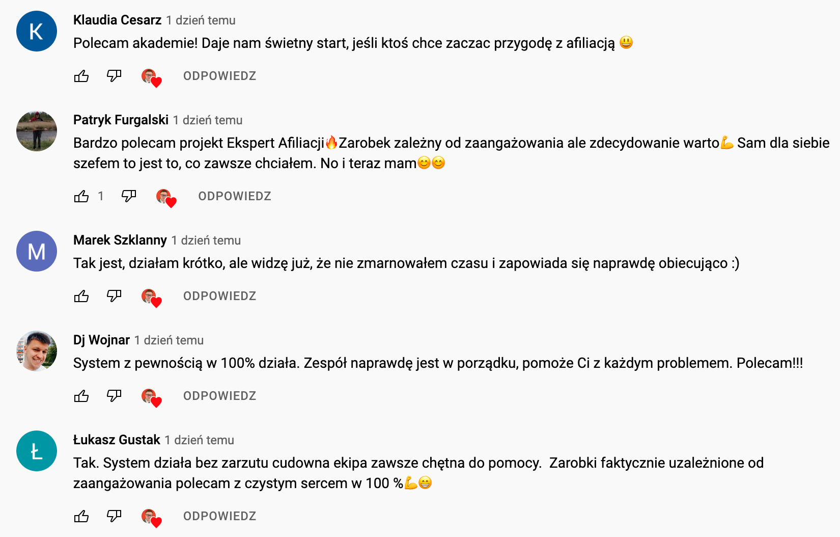 Opinie 6